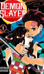demon slayer  kimetsu no yaiba 01